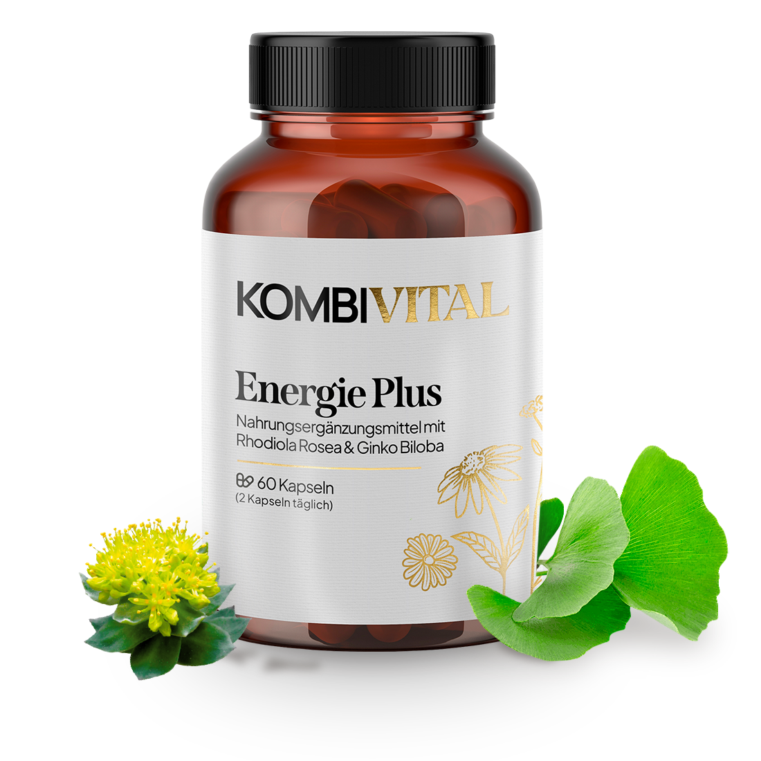 Energie Plus