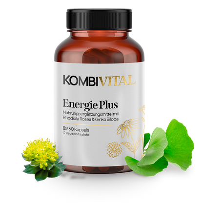 Energie Plus