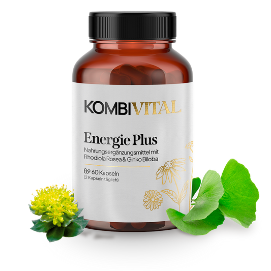 Energie Plus