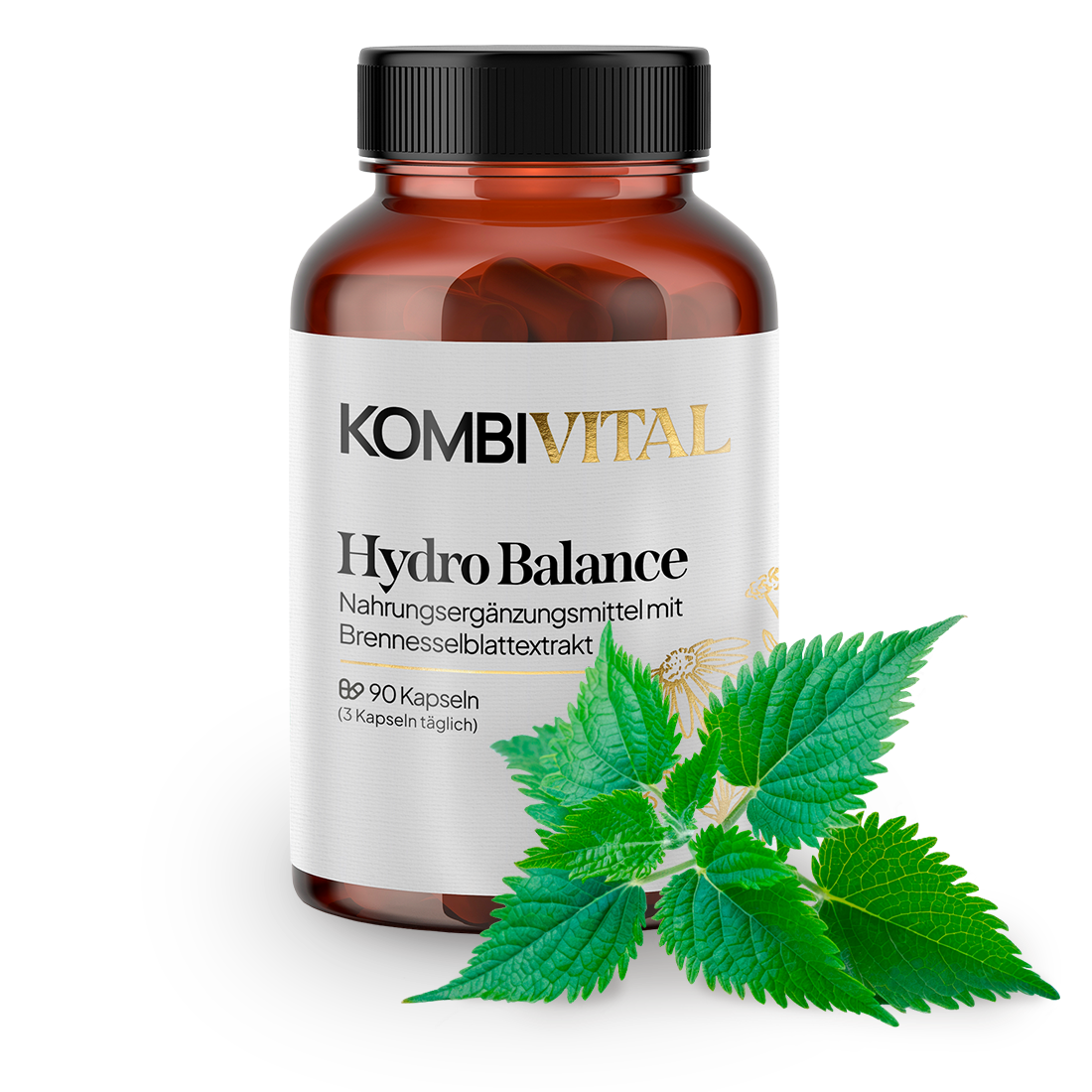 Hydro Balance